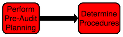 Pre-Audit Planning, Determine Procedures