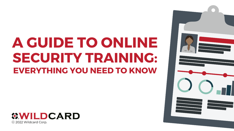 A Guide to Online Security Training