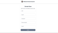 Scout - Wildcard Domain Scanner